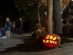 FOTOGALERIE: Strašidelné dekorace i ohňová show. Večer duchů na Svatý Kopeček přilákal davy