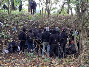 Skupinu šestadvaceti migrantů ze Sýrie vypátral policejní pes Umpalumpa. Ukrývali se u Mohelnice v lese