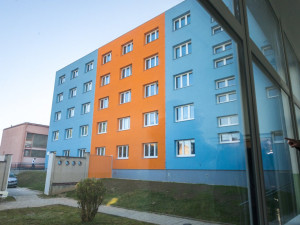 Opravená škola v Mohelnici má desítky hnízdních boxů pro rorýse obecné. Létají až 220 kilometrů za hodinu