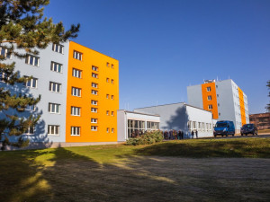 Opravená škola v Mohelnici má desítky hnízdních boxů pro rorýse obecné. Létají až 220 kilometrů za hodinu