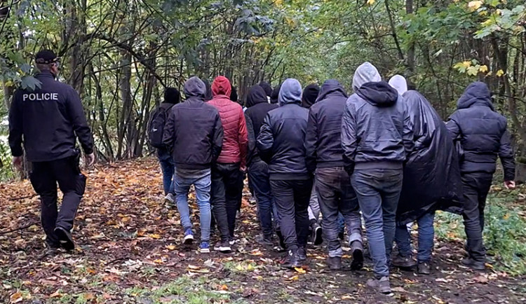 Skupinu šestadvaceti migrantů ze Sýrie vypátral policejní pes Umpalumpa. Ukrývali se u Mohelnice v lese