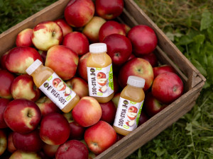 Kofola kupuje Pragerovy sady na Šumpersku. Bude zde pěstovat ciderovou odrůdu jablek