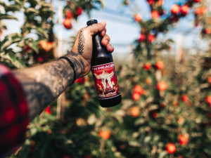 Kofola kupuje Pragerovy sady na Šumpersku. Bude zde pěstovat ciderovou odrůdu jablek