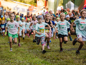 Lesy svolávají k oslavě jubilea! Registrace na 10. ročník Běhej lesy jsou spuštěny
