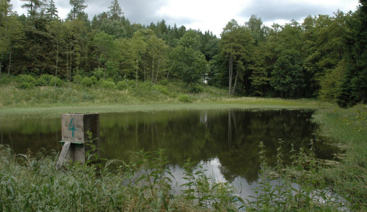 Hráz rybníka u Přerova potřebuje havarijní opravu. Výlov po 18 letech slibuje zajímavé úlovky
