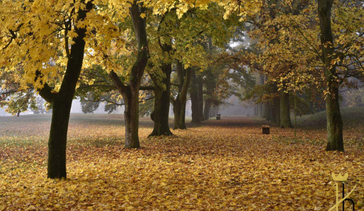 Čechy pod Kosířem