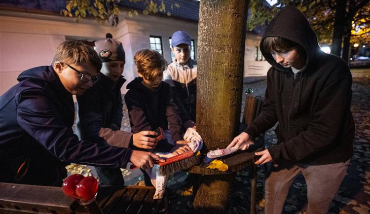 Jihlavští mladí skauti prodloužili patronát nad lavičkou Václava Havla. Každou středu ji chodí kontrolovat