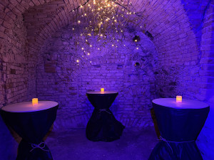 Rozšířený Olodvorek se naladil na předvánoční notu, chystají se i adventní plavby s punčem