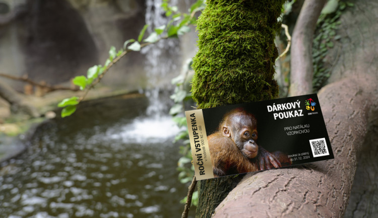 Pražská zoo nově nabízí elektronické permanentky a dárkové poukazy