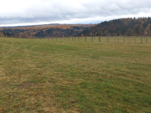 Tisíce stromů na zemědělské půdě na Libavé. Vojenské lesy spustily agrolesnické projekty