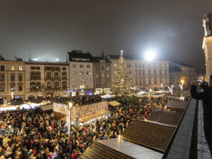 FOTOGALERIE: V Olomouci září strom Bambulín, vánoční městečko přilákalo davy