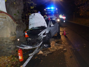 Řidič Tesly se u Žulové lekl protijedoucího vozu a narazil do stromu. Škoda vystřelila na milion korun