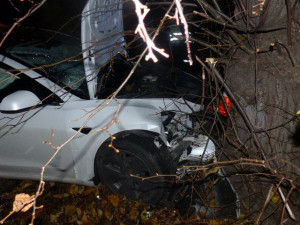 Řidič Tesly se u Žulové lekl protijedoucího vozu a narazil do stromu. Škoda vystřelila na milion korun