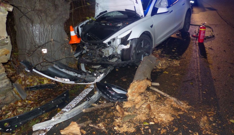 Řidič Tesly se u Žulové lekl protijedoucího vozu a narazil do stromu. Škoda vystřelila na milion korun