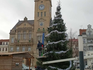 Lidé v Prostějově opět řeší křivý vánoční stromeček na náměstí. Letos je to optický klam