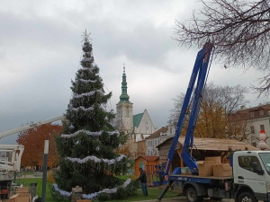 Lidé v Prostějově opět řeší křivý vánoční stromeček na náměstí. Letos je to optický klam