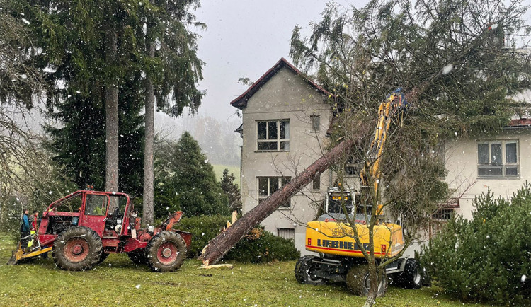 VIDEO: Na budovu školy v Jeseníku spadl mohutný strom, na místě zasahují hasiči