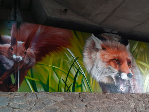 Kresby lesních zvířat na mostě u Vlachova budí nadšení. Obec chce příští rok pokračovat i na opačné straně