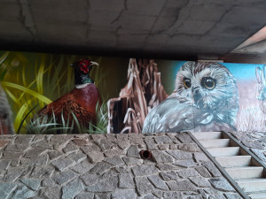 Kresby lesních zvířat na mostě u Vlachova budí nadšení. Obec chce příští rok pokračovat i na opačné straně