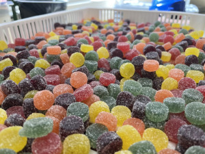 Z továrny Nestlé Sfinx míří bonbóny na tři světadíly