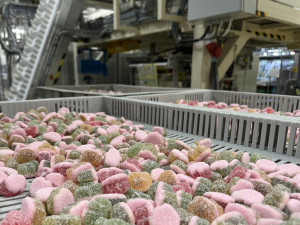 Češi milují kyselou chuť. Jojo letos rozšířilo portfolio kyselých želé bonbónů o novinku Kaktusáci