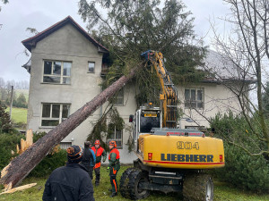 VIDEO: Na budovu školy v Jeseníku spadl mohutný strom, na místě zasahují hasiči