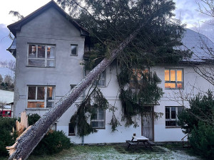 VIDEO: Na budovu školy v Jeseníku spadl mohutný strom, na místě zasahují hasiči