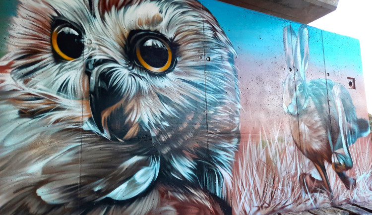 Kresby lesních zvířat na mostě u Vlachova budí nadšení. Obec chce příští rok pokračovat i na opačné straně