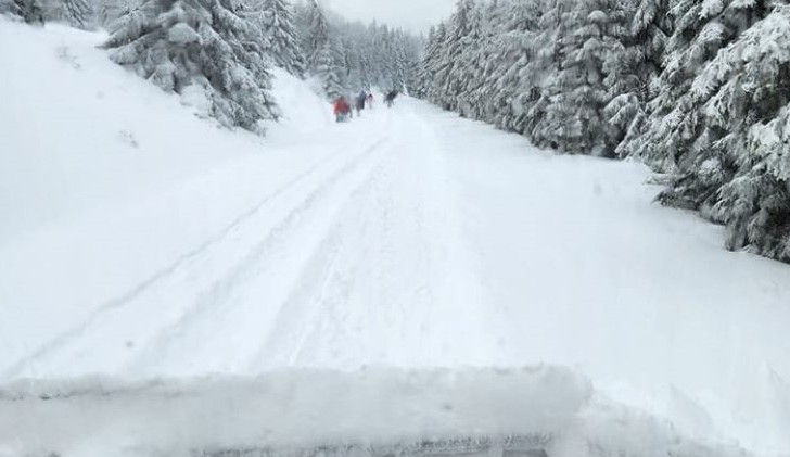 406035300_364639682787049_3960096420953508165_n