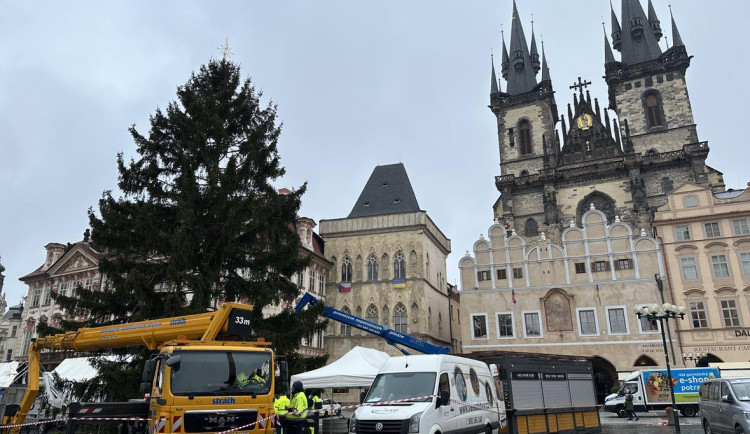 Vánoční strom dorazil do Prahy. Od noci stojí na Staroměstském náměstí