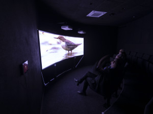 FOTOGALERIE: Jedinečná ptačí říše v Přerově. Po rekonstrukci se otevře muzeum Ornis