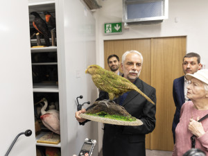 FOTOGALERIE: Jedinečná ptačí říše v Přerově. Po rekonstrukci se otevře muzeum Ornis