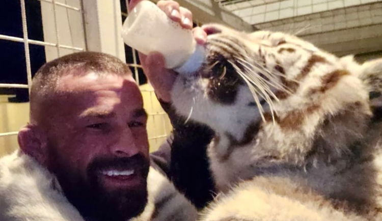 Karlos Vémola má přijít už o druhou tygřici. Rozhodnutí plně podporujeme, zní ze zoologických zahrad