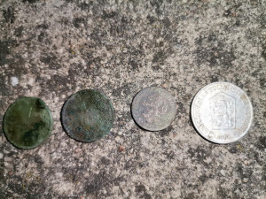 Ptenský zámek vydal sudové plomby, které dokládají existenci pivovaru, ale i měďáky a stříbrňáky. Budou na výstavě