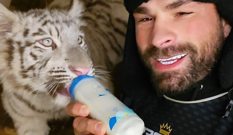 Karlos Vémola s bílou tygřicí