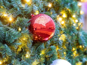 Obyvatelé Šumperka plní vánoční přání dětí z dětských domovů, lidé si je mohli brát z vánočního stromku