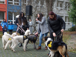 VIDEO: Studenti olomouckého gymnázia nazpívali nový klip. Píseň je spojená se sbírkou pro nemocné