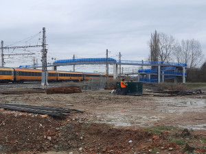 Náhradní výsadba za pokácené stromy u D1 až za pět let? To je špatně, rozhodl soud