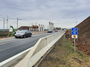 Náhradní výsadba za pokácené stromy u D1 až za pět let? To je špatně, rozhodl soud