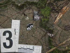 Výbuch zábavní pyrotechniky zničil v Pňovicích kapotu auta, přední sklo a okna v okolí