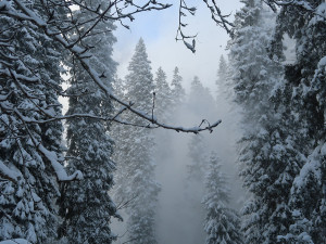 Vichr a vydatné sněžení. Výstrahy meteorologů platí i pro sever Olomouckého kraje