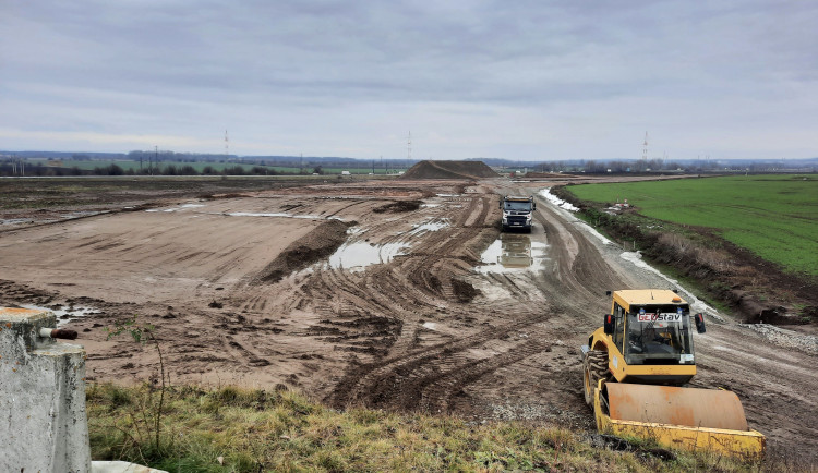 Náhradní výsadba za pokácené stromy u D1 až za pět let? To je špatně, rozhodl soud
