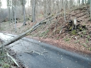 Silný vítr a déšť zaměstnal hasiče, měli přes šedesát výjezdů. V Bludově vlak narazil do stromu