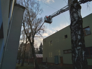 Silný vítr a déšť zaměstnal hasiče, měli přes šedesát výjezdů. V Bludově vlak narazil do stromu