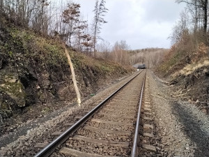 Silný vítr a déšť zaměstnal hasiče, měli přes šedesát výjezdů. V Bludově vlak narazil do stromu