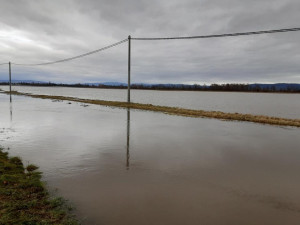 Pohotovost pro Olomouc, Morava je na druhém stupni. V Pňovicích voda ohrožovala rodinné domy