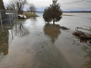 Pohotovost pro Olomouc, Morava je na druhém stupni. V Pňovicích voda ohrožovala rodinné domy