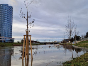 Olomouc vzoruje vodě. Cyklostezka u myší díry je zaplavená, protipovodňová opatření však fungují