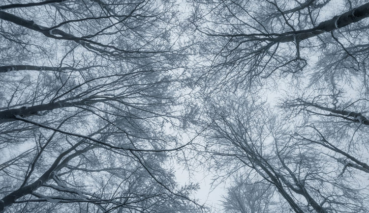 TIP NA VÝLET: Kam na Silvestra nebo na Nový rok? Hrad Rabštejn nabízí pohádkovou atmosféru