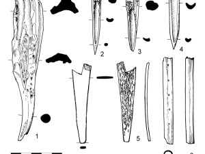 Ve Vrahovicích archeologové objevili zdobenou píšťalku z kosti. Bylo zde rozsáhlé neolitické sídliště